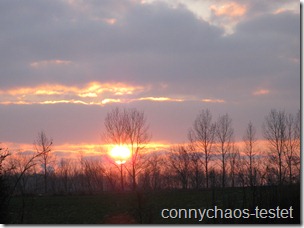 Sonntags-(Schnapp)-Schuss