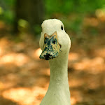 IMG_3266-1.jpg