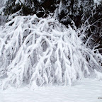 20091201 Allgaeu 1011 [640x480].JPG