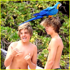Dylan And Cole Sprouse Photos, Dylan And.