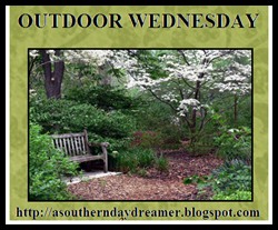 Outdoor-Wednesday-button_thumb1_thum