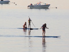 cape cod paddle boarding2