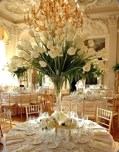 29296_401790704659_78329639659_4022088_5215719_n french tulips per vase stoneblossom 29296_401790704659_78329639659_4022088_5215719_n french tulips per vase stoneblossom