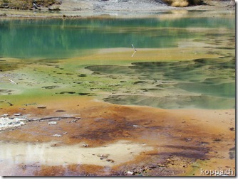 110825 NP Yellowstone (17)