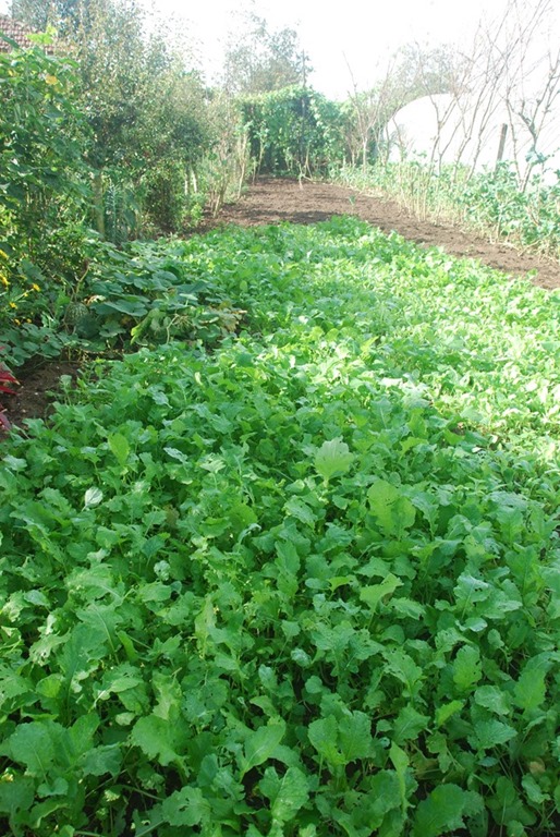 [DSC_0785%255B10%255D.jpg]