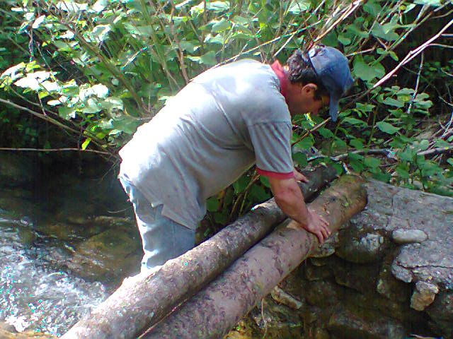 [Fotografia00243.jpg]