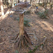 P1010015.JPG