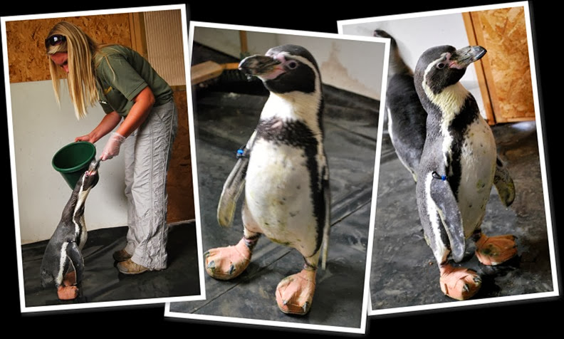 View album View album