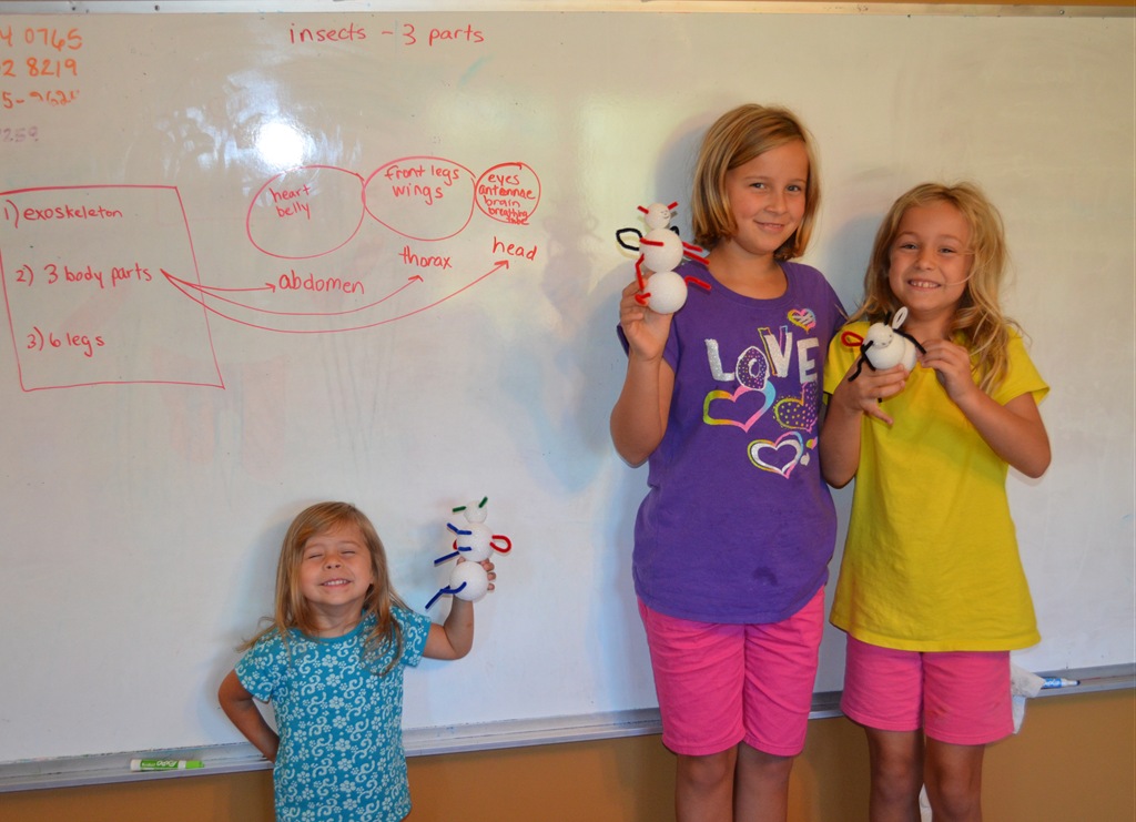 [DSC_5185%255B6%255D.jpg]