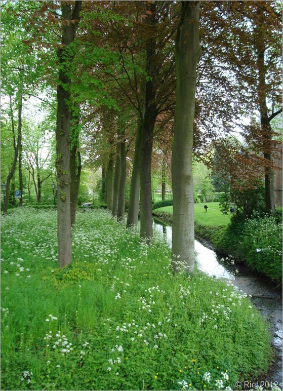2-rhoon en kasteel 046 2-rhoon en kasteel 046
