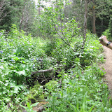 IMG_1112.JPG