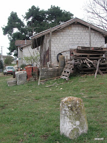 04 Livade - Nova vas 70.JPG