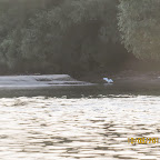 IMG_6469.JPG