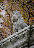 20120414-DSCF0652.jpg