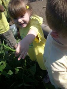 WOW! Look at that pea!