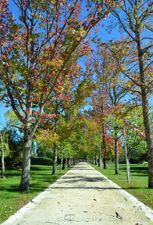Glória Ishizaka - Folhas de Outono - Portugal 27