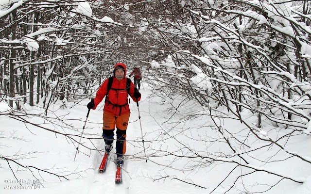 Valcan Straja Oslea 1595 rw iarna pe munte, Munții Vâlcan, Oslea, schi, schi de tura Valcan-Straja-Oslea_1595_rw.jpg