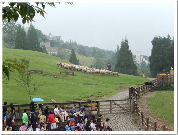 2013年台灣之旅_Day2_43