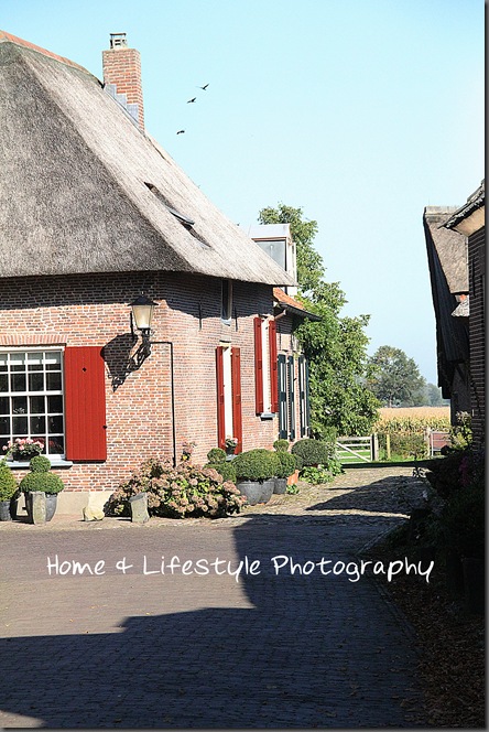 Home & Lifestyle Home & Lifestyle