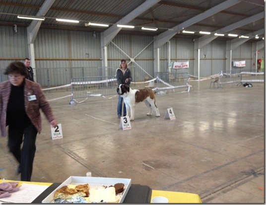 GIN CLASSE INTERMEDIAIRE BEZIERS 2012 (8)