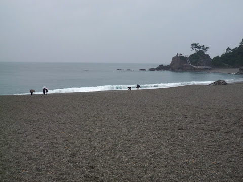 桂浜