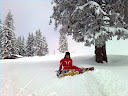 Bild0065.jpg