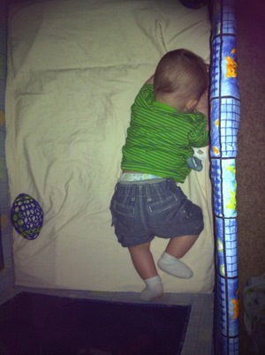 IMG_1473_thumb[2]