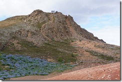 Geysir National Park