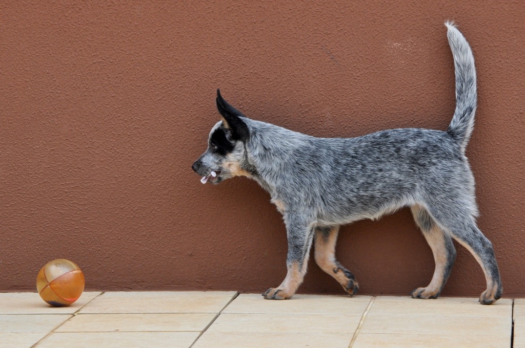 [DSC_5821%255B3%255D.jpg]