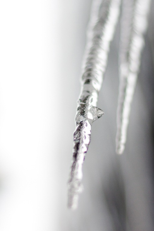 [20130105-IMG_5860-33.jpg]