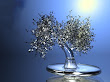 Beauty Of Charming Fiction