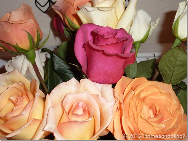 My Birthday Flowers 10.12 002