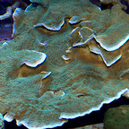 DSC_2116.jpg
