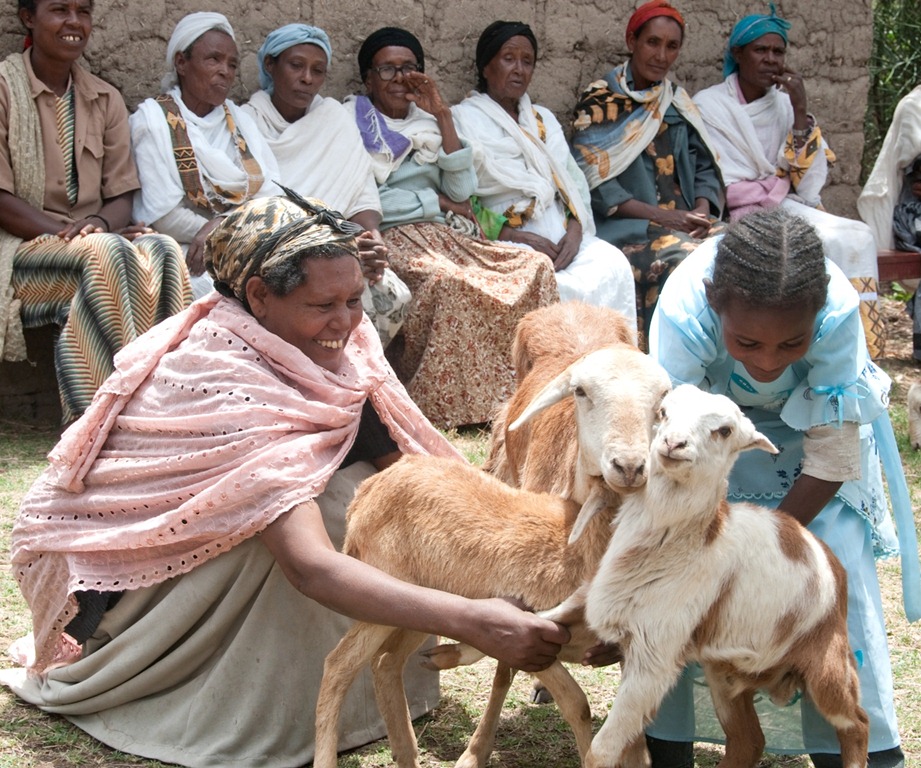 [goats%255B4%255D.jpg]