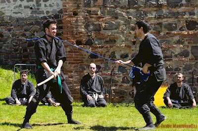 Enbu-castello16.jpg