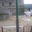 IMGP0488.JPG