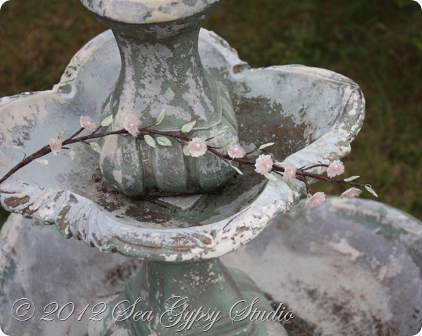 IMG_5425 IMG_5425