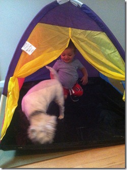 2012.07.27 Tent Fun (2)