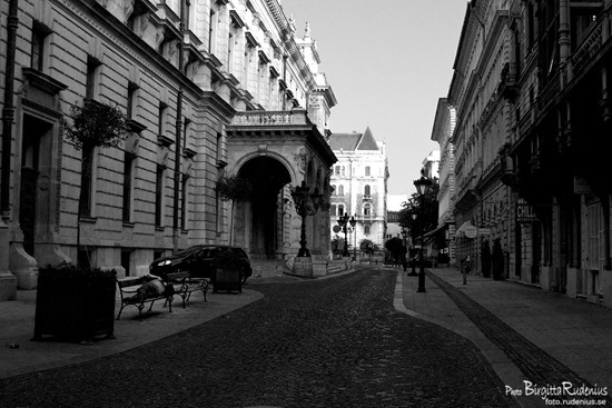 people_20110828_onbench