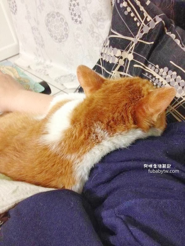 調整大小IMG_4641 調整大小IMG_4641