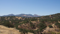 DSC02901.jpg
