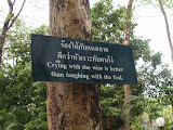 P3102417.JPG