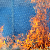 Early afternoon Sunday, a field between the railroad tracks and a neighborhood caught fire at the north end of the Florin Rd. Light Rail Station off Indian Ln and Yreka Ave. A high sound wall protected the homes as firefighters took a let burn stance. Letting the residual fuel burn off under controlled conditions prevents another fire striking up under worse condtions that might not be as easy to control, puting homes at risk. News_110703_BrushFire_SouthSac