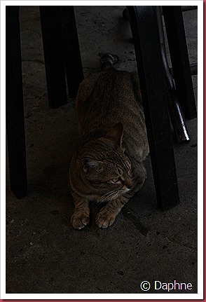 IMG_2744 IMG_2744