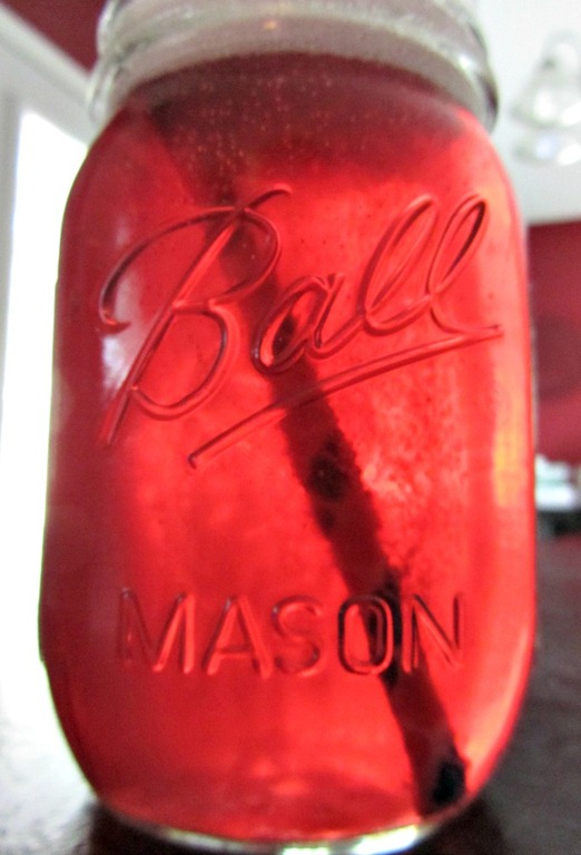 [hibiscus%2520soda%25204.jpg]