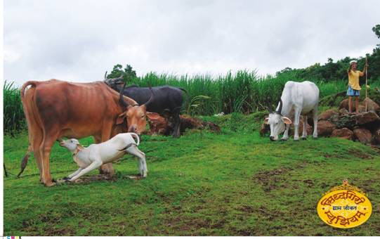 INDIA's Wax museum in KOLHAPUR capturing village life in India