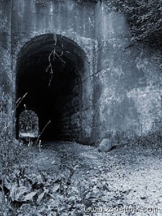 The Screaming Tunnel,Warner Road Canada The Screaming Tunnel,Warner Road Canada