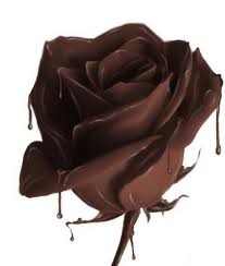 [chocolate-rose4.jpg]