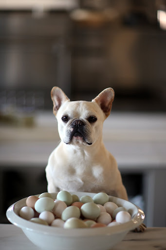 Do you think we should give all of our hens names, too?  That would be a lot of names!