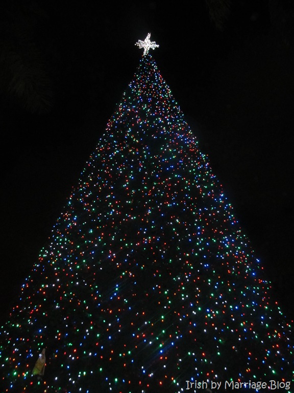 [IMG_0824%255B3%255D.jpg]